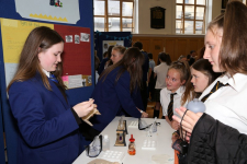 Science Fayre 2014